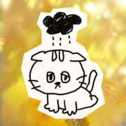 ヒメ日記 2025/10/27 10:05 投稿 うみ 宮崎ちゃんこ都城店