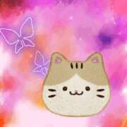 ヒメ日記 2025/10/31 14:27 投稿 うみ 宮崎ちゃんこ都城店