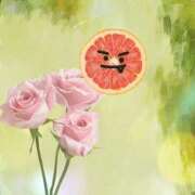 ヒメ日記 2025/11/20 00:54 投稿 うみ 宮崎ちゃんこ都城店