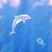 ヒメ日記 2025/11/27 01:05 投稿 うみ 宮崎ちゃんこ都城店