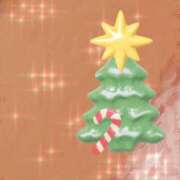 ヒメ日記 2025/12/20 23:06 投稿 うみ 宮崎ちゃんこ都城店