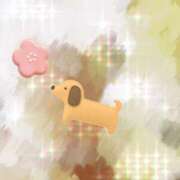 ヒメ日記 2026/01/05 02:25 投稿 うみ 宮崎ちゃんこ都城店