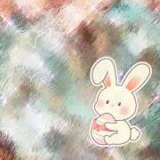 ヒメ日記 2026/01/24 01:25 投稿 うみ 宮崎ちゃんこ都城店