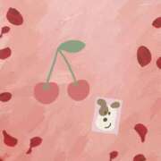 ヒメ日記 2026/01/28 18:55 投稿 うみ 宮崎ちゃんこ都城店