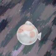 ヒメ日記 2026/02/11 03:48 投稿 うみ 宮崎ちゃんこ都城店