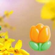 ヒメ日記 2026/02/19 18:01 投稿 うみ 宮崎ちゃんこ都城店