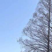 ヒメ日記 2026/02/23 13:35 投稿 うみ 宮崎ちゃんこ都城店