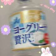 ヒメ日記 2026/02/24 16:15 投稿 うみ 宮崎ちゃんこ都城店