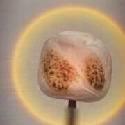 ヒメ日記 2026/03/07 18:21 投稿 うみ 宮崎ちゃんこ都城店