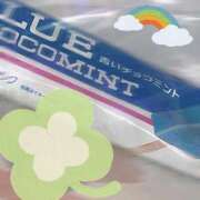 ヒメ日記 2026/03/21 09:15 投稿 うみ 宮崎ちゃんこ都城店