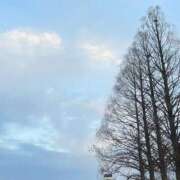 ヒメ日記 2026/03/21 19:35 投稿 うみ 宮崎ちゃんこ都城店