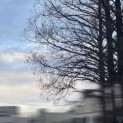 ヒメ日記 2026/03/25 18:35 投稿 うみ 宮崎ちゃんこ都城店