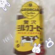 ヒメ日記 2026/03/26 09:05 投稿 うみ 宮崎ちゃんこ都城店