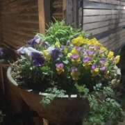 ヒメ日記 2026/03/26 23:05 投稿 うみ 宮崎ちゃんこ都城店