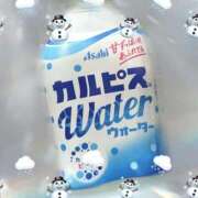 ヒメ日記 2026/03/31 09:35 投稿 うみ 宮崎ちゃんこ都城店