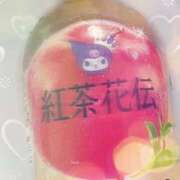 ヒメ日記 2026/03/31 15:15 投稿 うみ 宮崎ちゃんこ都城店