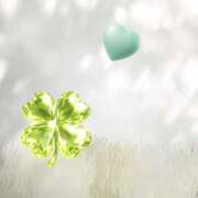 ヒメ日記 2026/03/31 20:05 投稿 うみ 宮崎ちゃんこ都城店