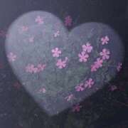 ヒメ日記 2026/03/31 23:18 投稿 うみ 宮崎ちゃんこ都城店