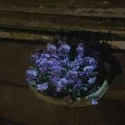 ヒメ日記 2026/04/10 18:05 投稿 うみ 宮崎ちゃんこ都城店