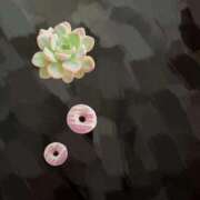 ヒメ日記 2026/04/12 20:45 投稿 うみ 宮崎ちゃんこ都城店