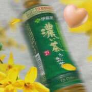 ヒメ日記 2026/04/13 15:25 投稿 うみ 宮崎ちゃんこ都城店