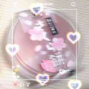 ヒメ日記 2026/04/19 19:05 投稿 うみ 宮崎ちゃんこ都城店