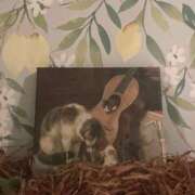 ヒメ日記 2026/04/19 23:55 投稿 うみ 宮崎ちゃんこ都城店