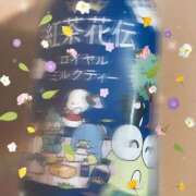 ヒメ日記 2026/05/18 09:05 投稿 うみ 宮崎ちゃんこ都城店