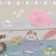 ヒメ日記 2026/06/02 20:35 投稿 うみ 宮崎ちゃんこ都城店