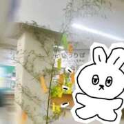 ヒメ日記 2026/07/11 19:17 投稿 うみ 宮崎ちゃんこ都城店