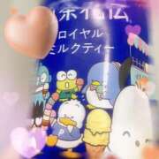 ヒメ日記 2026/09/18 21:35 投稿 うみ 宮崎ちゃんこ都城店