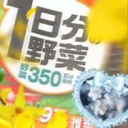 ヒメ日記 2026/09/23 09:05 投稿 うみ 宮崎ちゃんこ都城店