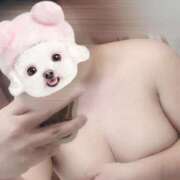 ヒメ日記 2025/08/23 10:49 投稿 ひより 白いぽっちゃりさん