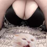 ヒメ日記 2025/08/26 19:52 投稿 ひより 白いぽっちゃりさん