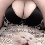 ヒメ日記 2025/09/01 17:34 投稿 ひより 白いぽっちゃりさん