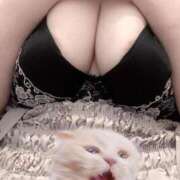 ヒメ日記 2025/09/13 13:04 投稿 ひより 白いぽっちゃりさん