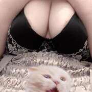 ヒメ日記 2025/09/15 13:03 投稿 ひより 白いぽっちゃりさん