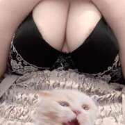 ヒメ日記 2026/02/28 13:54 投稿 ひより 白いぽっちゃりさん