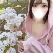 ヒメ日記 2026/04/09 07:16 投稿 りり 三浦屋別館