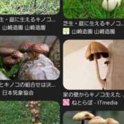 ヒメ日記 2025/10/08 21:26 投稿 るる 三浦屋別館