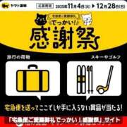 ヒメ日記 2025/11/08 10:56 投稿 るる 三浦屋別館