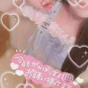 ヒメ日記 2025/12/22 09:04 投稿 るる 三浦屋別館