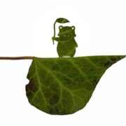 ヒメ日記 2026/03/03 09:46 投稿 るる 三浦屋別館