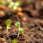 ヒメ日記 2026/03/05 18:26 投稿 るる 三浦屋別館