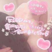 ヒメ日記 2026/03/08 09:56 投稿 るる 三浦屋別館