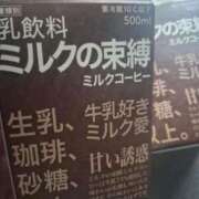 ヒメ日記 2026/03/15 08:46 投稿 るる 三浦屋別館