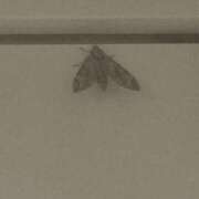ヒメ日記 2026/07/01 21:36 投稿 るる 三浦屋別館