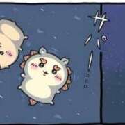 ヒメ日記 2025/12/20 17:24 投稿 ハヅキ secretgirl大阪