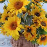 ヒメ日記 2025/09/15 10:49 投稿 さとみ 待ちナビ