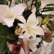 ヒメ日記 2025/11/20 22:18 投稿 さとみ 待ちナビ